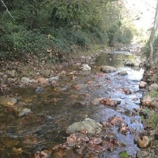 Los vecinos participan en la limpieza del río Armanza